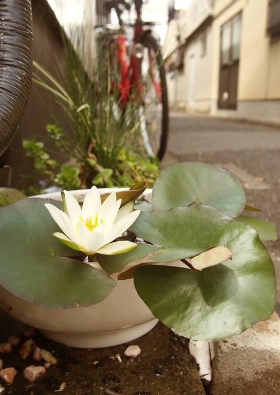 Love Kyoto Kyoenkan Zimmer foto